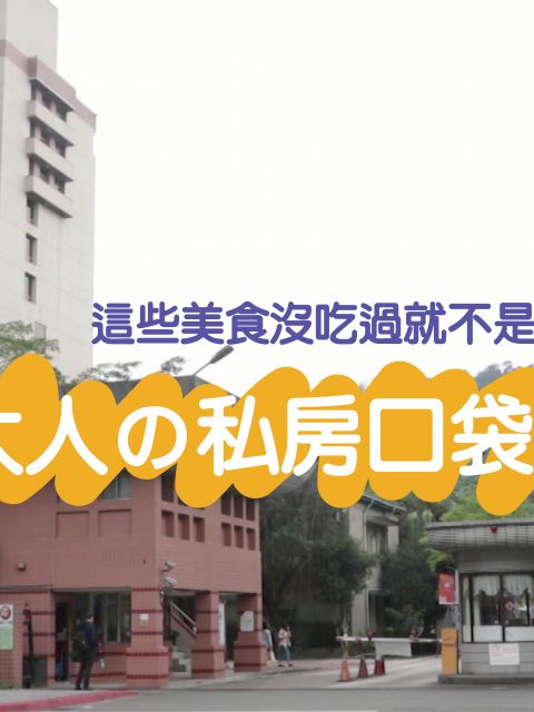 【MENU政大美食特輯】逛完動物園順便吃!政大人的口袋名單!炸豬排、生魚片蓋飯、隱藏版咖啡廳都在這!