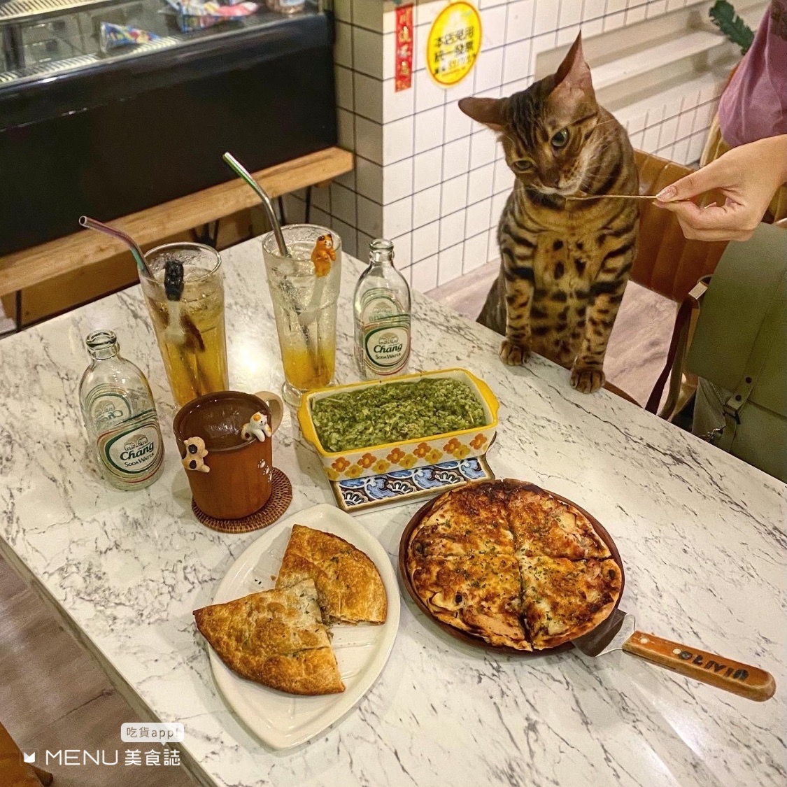 台北週末雨天約會提案:雙北這六間有超Q動物咖啡廳讓你週末秒充電,趕快收藏起來吧!